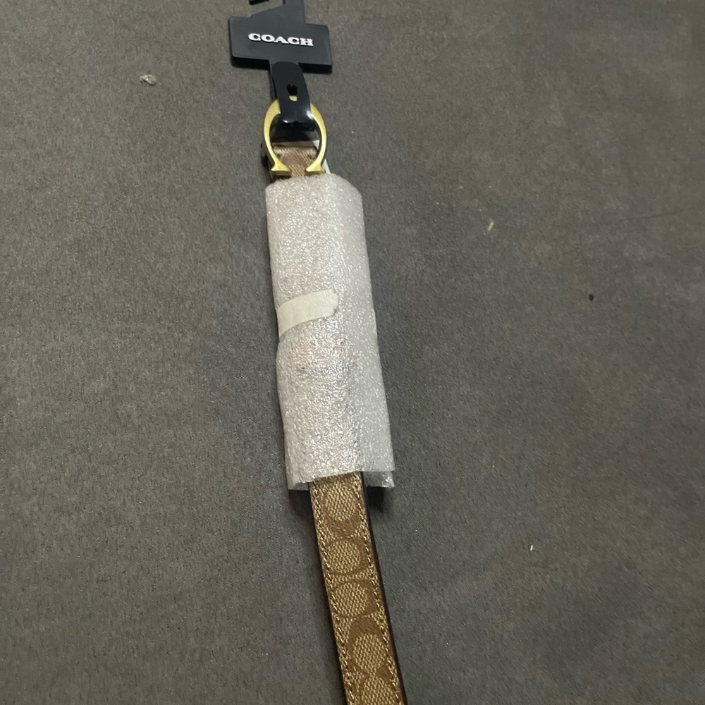 Coach Signature Belt